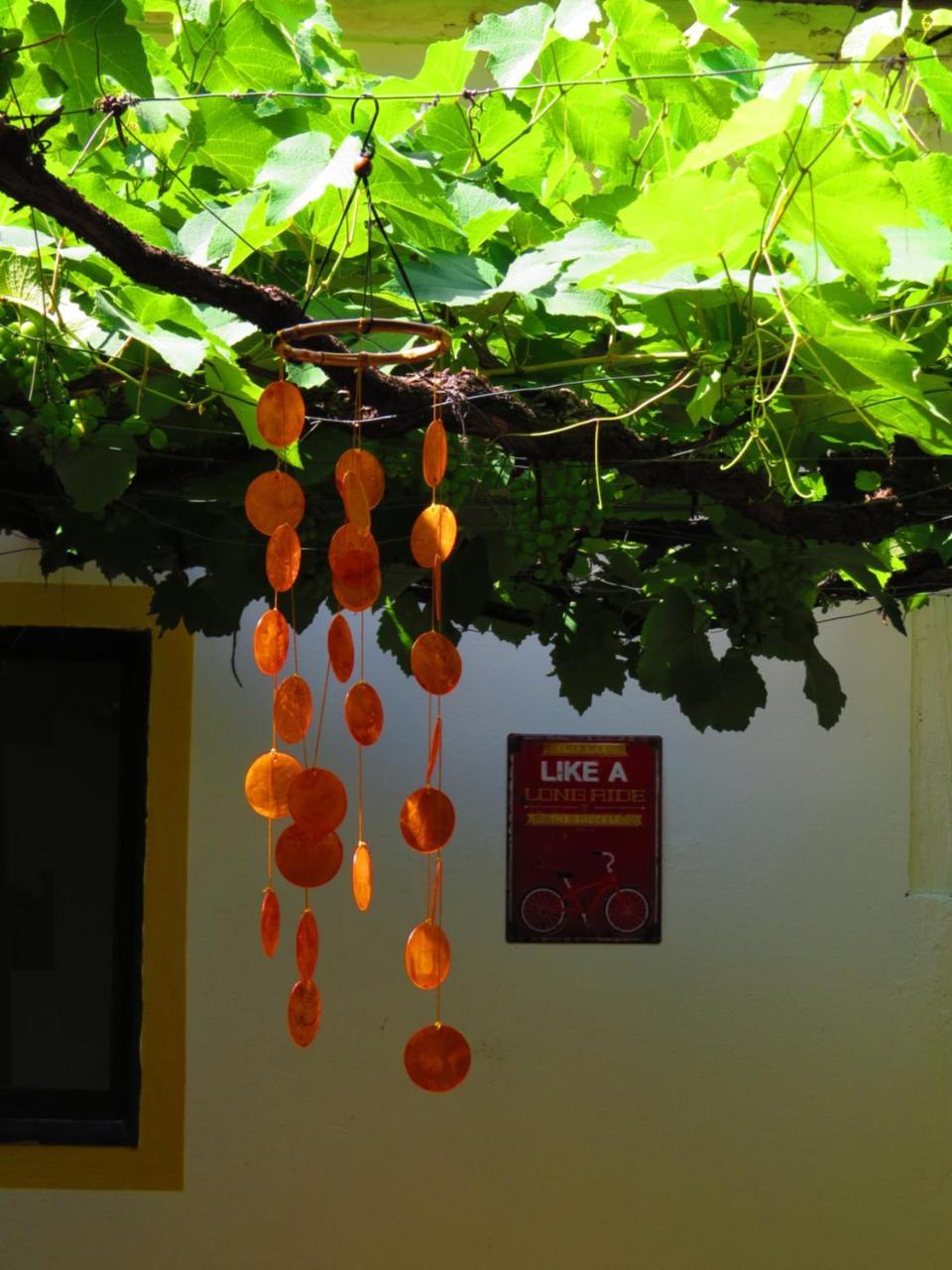Chicamocha Hostel 圣希尔 外观 照片